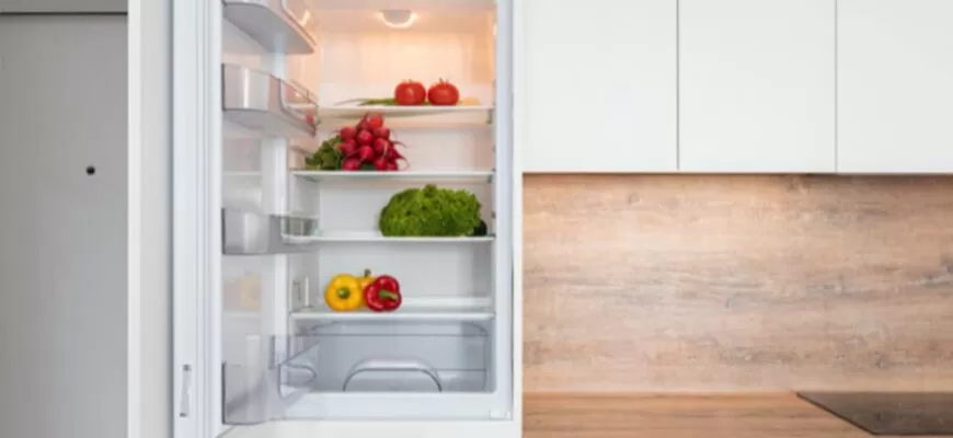 Холодильник с морозильной камерой: как сэкономить на счетах за электроэнергию?